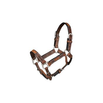 Royal King Mini Cow Puncher Halter with Lead