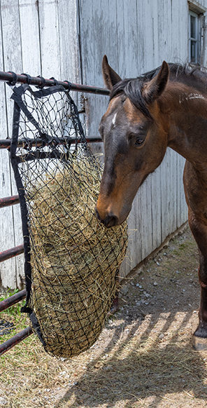 HAY FEEDERS HAY FEEDERS